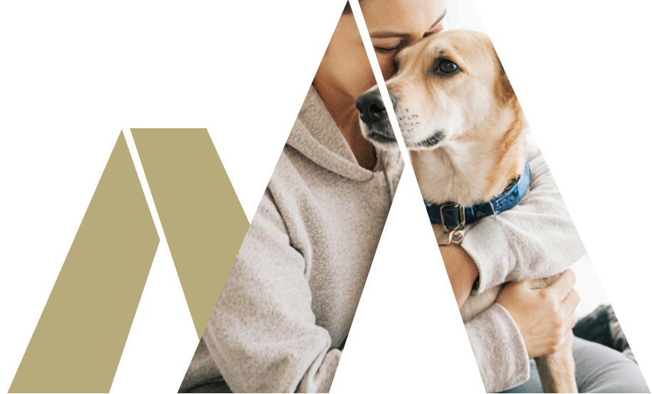 Bannière aide spécifique, une femme avec son chien